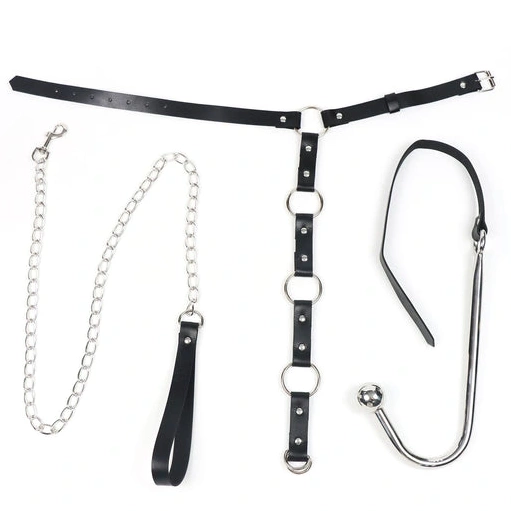 Anal Hooks Hook with Anal Kinky Collar Leash 5853 EverydayUse and 0109